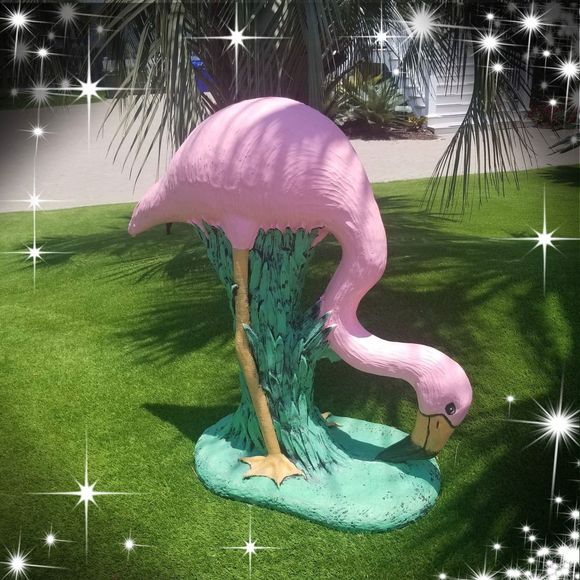 Meet your Posher, Lorene - Picture 1 of 1